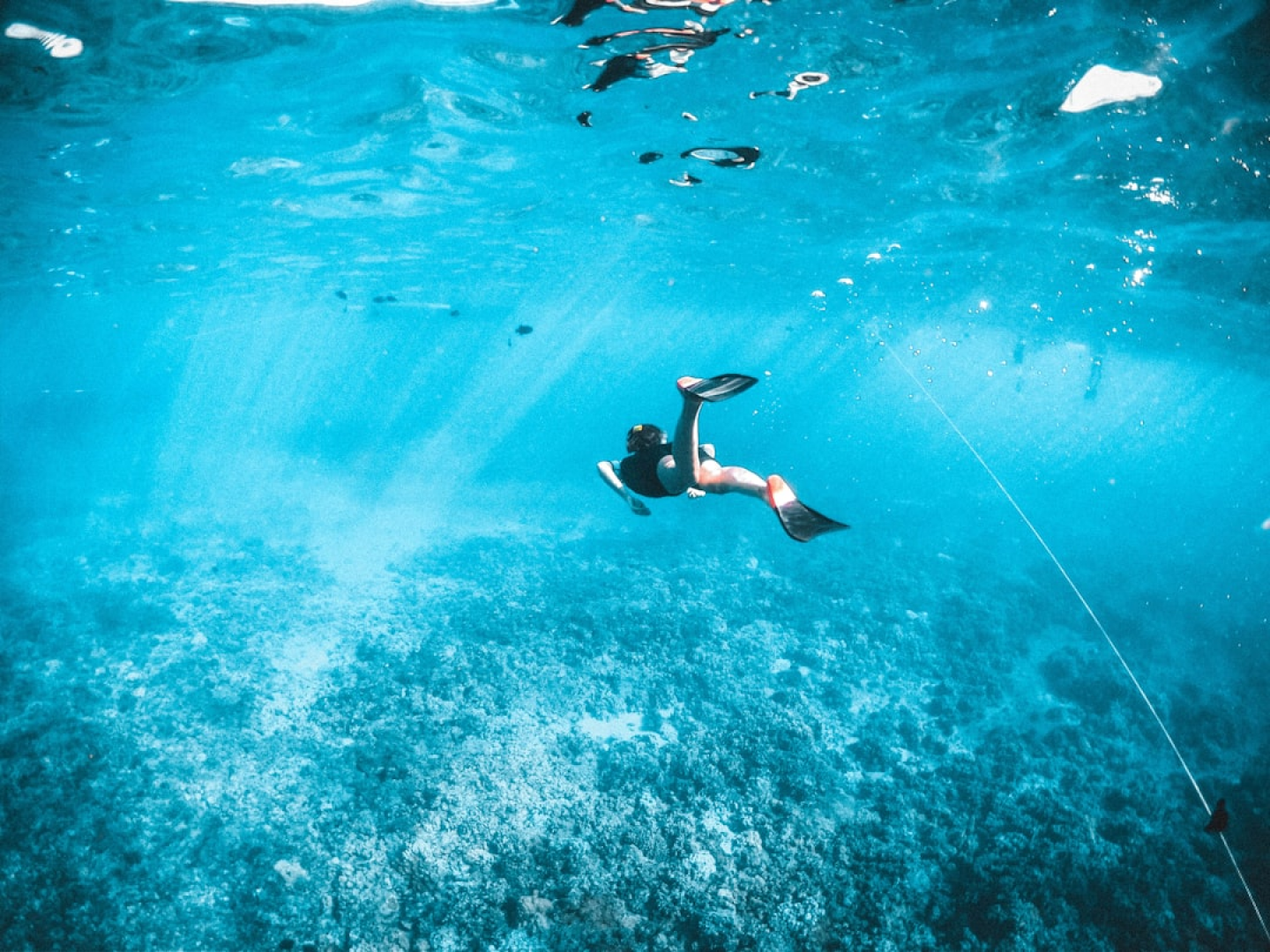 Swimmer diving underwater